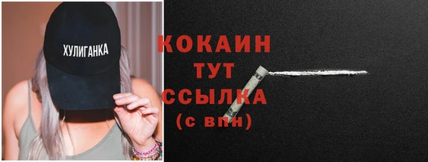 СК Горнозаводск