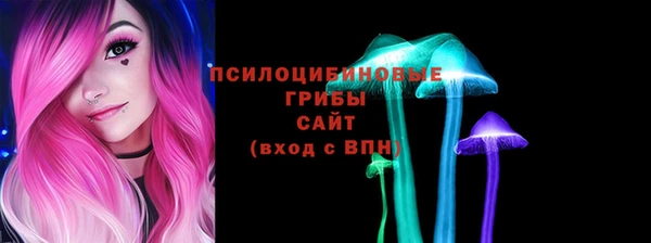 apvp Горняк