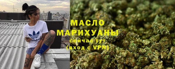 apvp Горняк