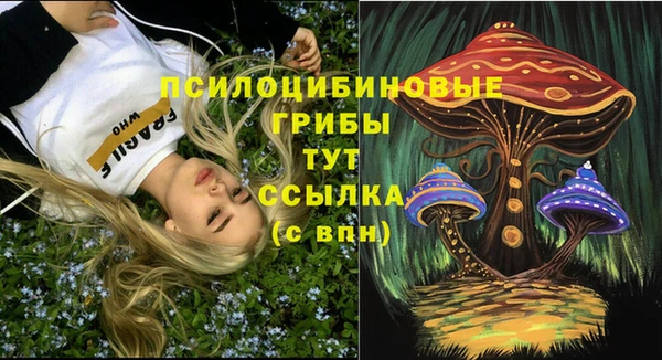 COCAINE Горно-Алтайск