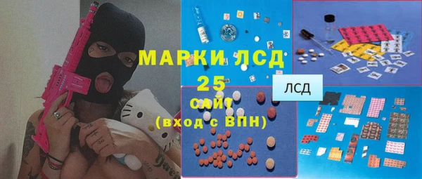 apvp Горняк