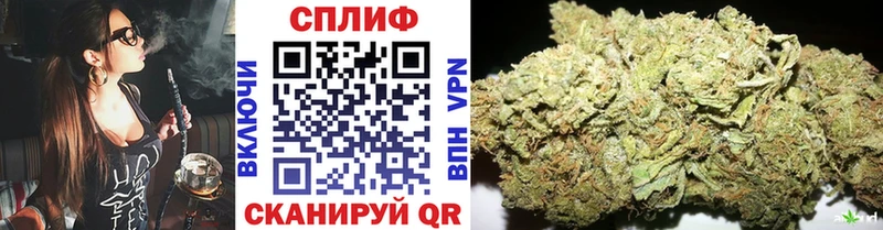 Купить где  Партизанск  Каннабис семена 